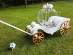 Princess Carriage open cage and pair